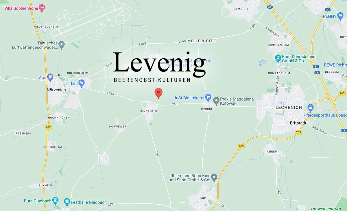 lenevig_google_maps